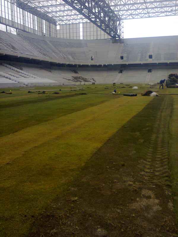 Gramado está sendo replantado na Arena