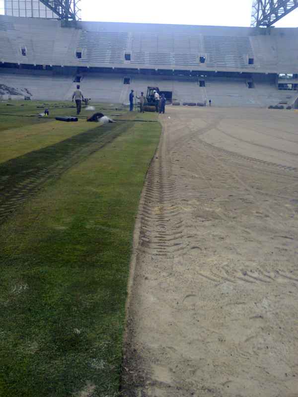 Gramado está sendo replantado na Arena