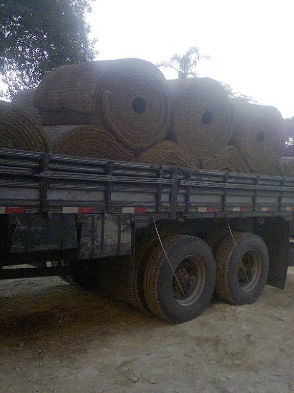 Gramado está sendo replantado na Arena