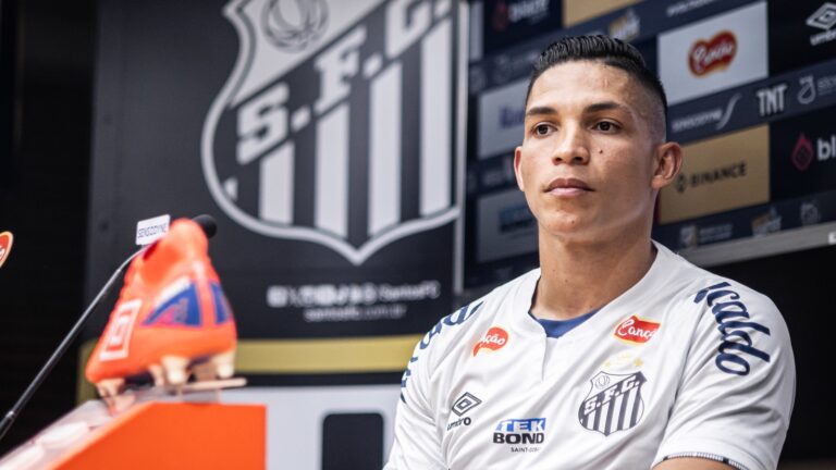 Rodrigo Ferreira pelo Santos. Foto: Raul Baretta/ Santos FC.