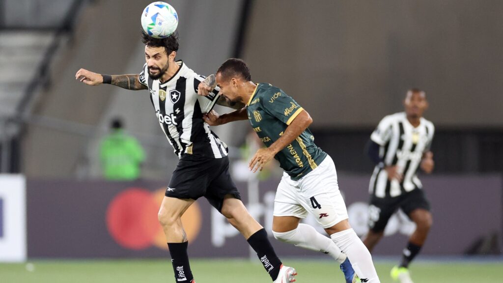 (Foto: Vitor Silva/Botafogo)