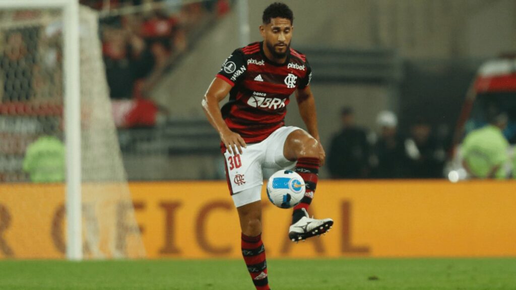 (Foto: Gilvan de Souza/Flamengo)
