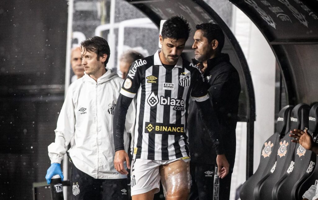 Foto: Raul Baretta/Santos FC